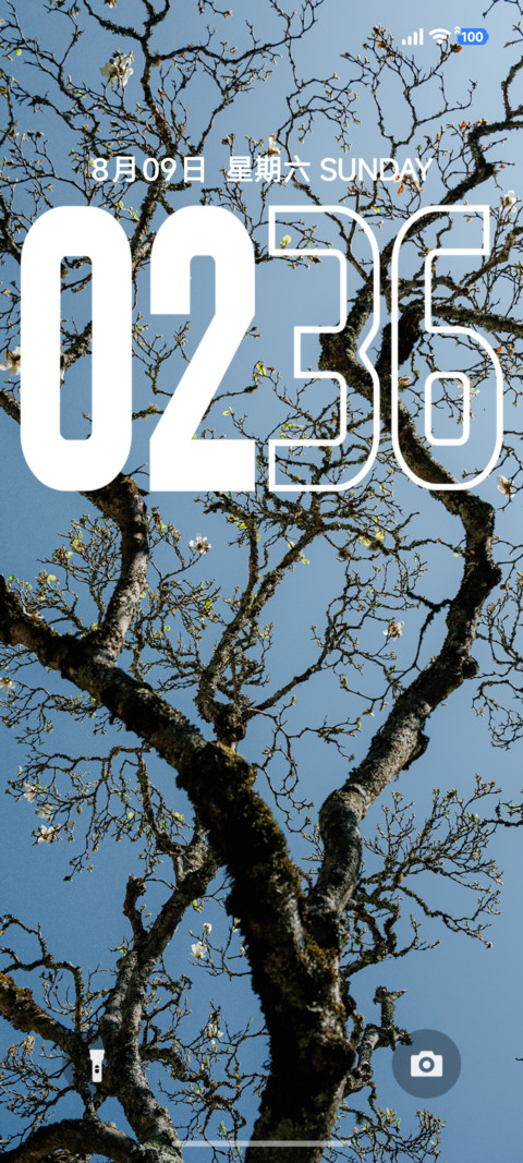 简约液态景深树 screenshot