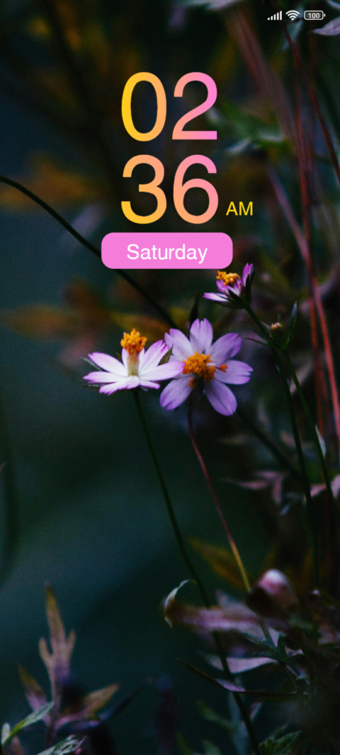 Shallow screenshot