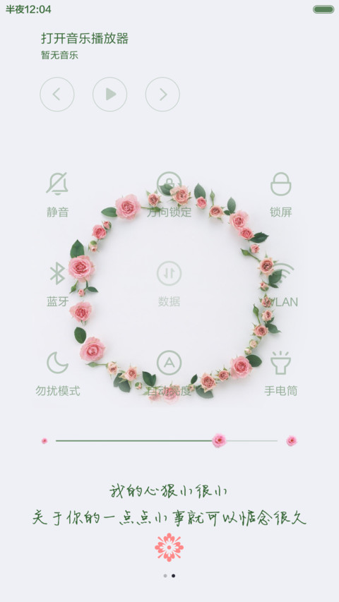 时光印迹（多自定义+落叶动画） screenshot