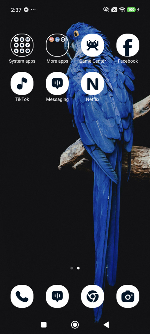 Blue Parrot screenshot