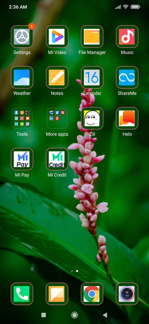 Blossom_DWM2 screenshot