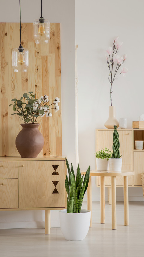 Wooden furniture cleaning tips screenshot