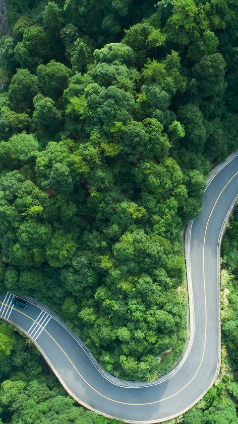 Aerial view of the road screenshot