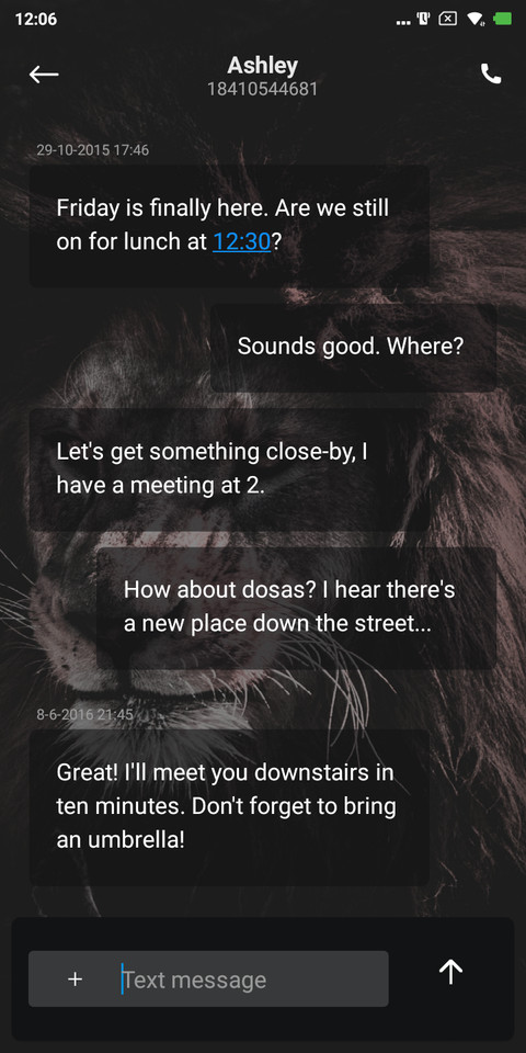 Lion Dark V10 screenshot