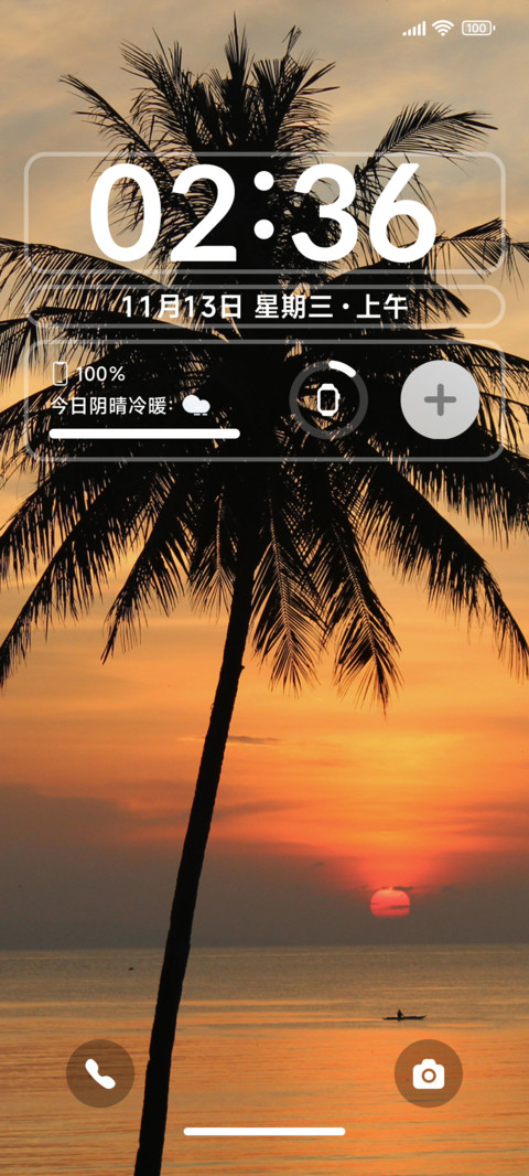 椰树晚风ins screenshot