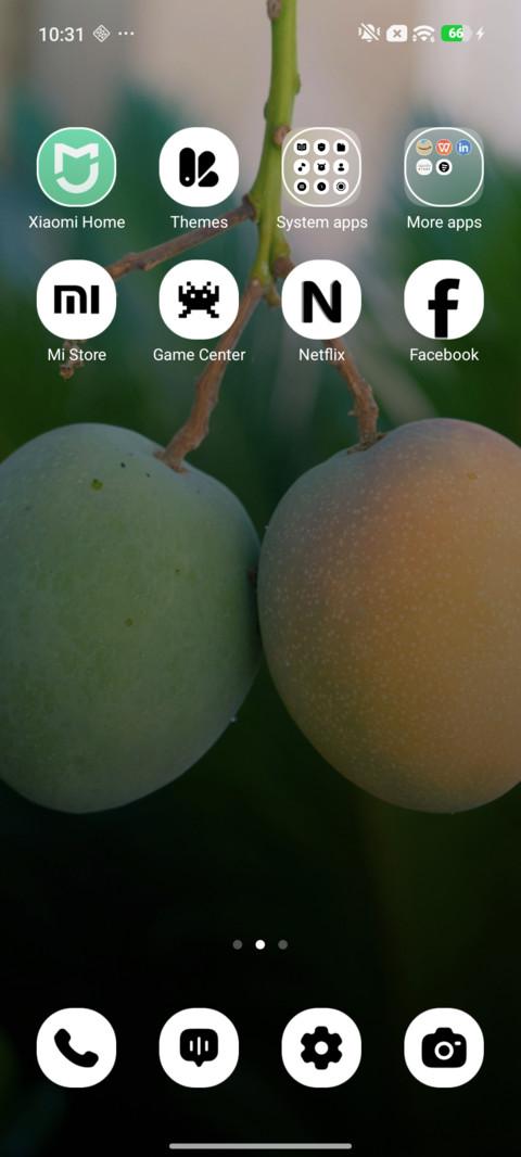 Twin Mangoes screenshot