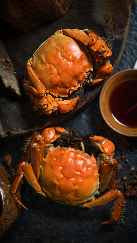 Guidelines for crab season 43 screenshot