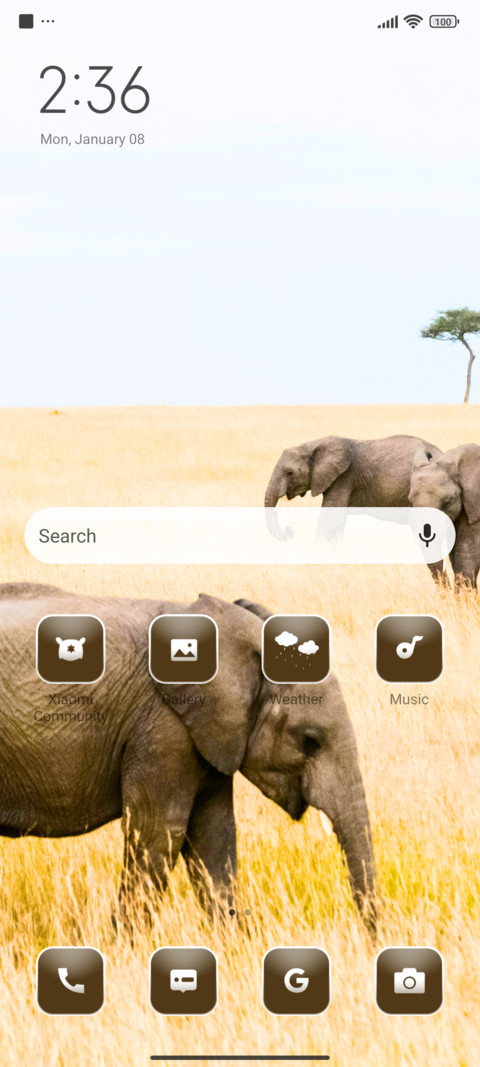 Baby Elephant screenshot