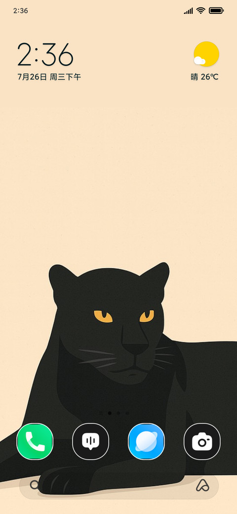 Dark panther screenshot