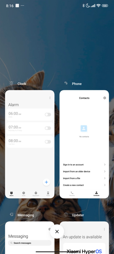 Cats screenshot