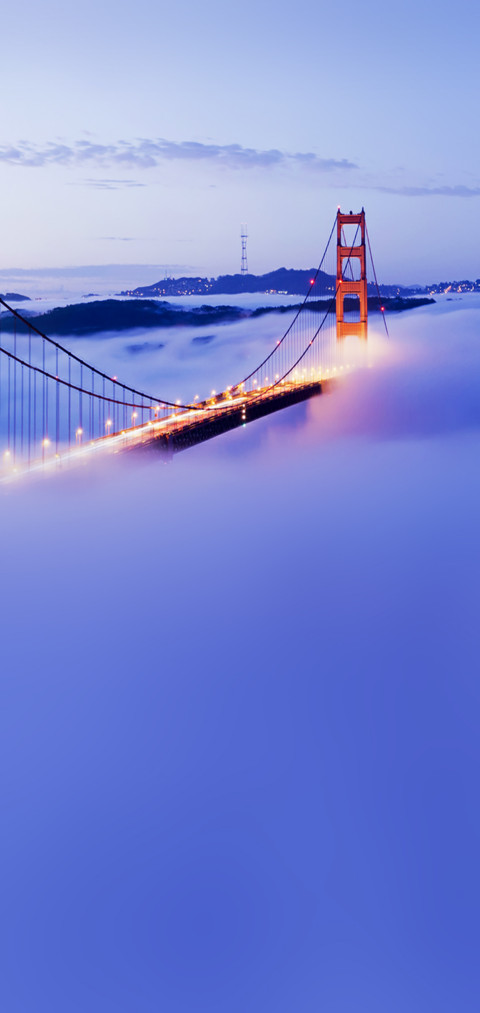 愿景 screenshot