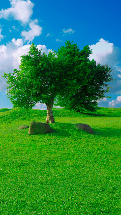 Green grass and blue sky screenshot