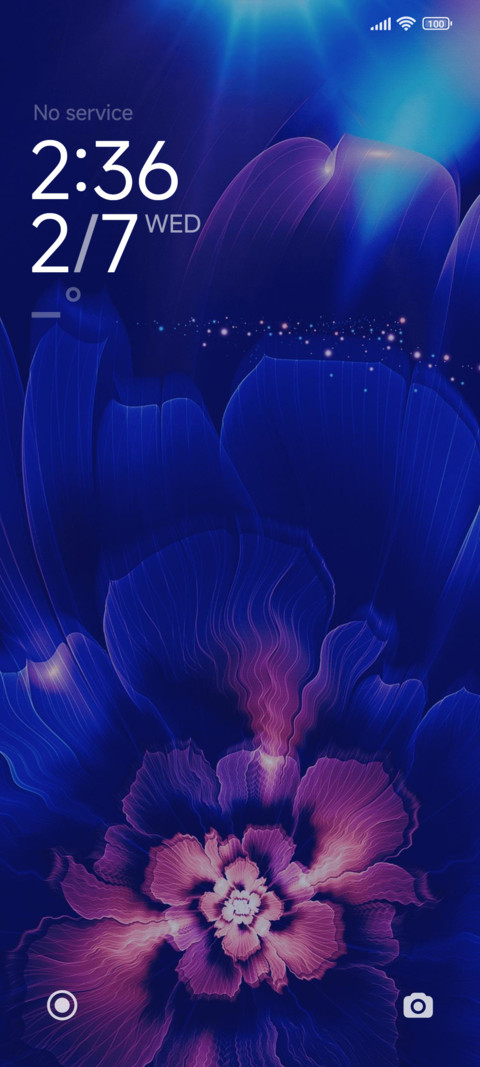 Splendid Flowers screenshot