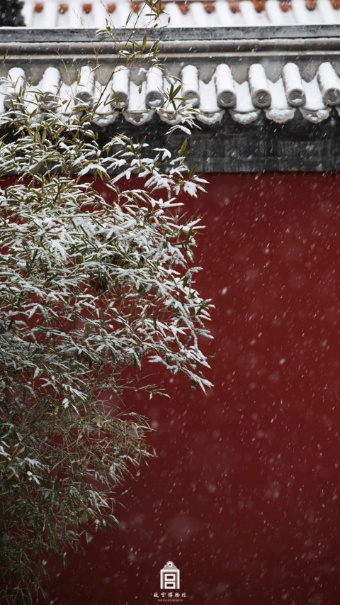 雪落故宫 screenshot