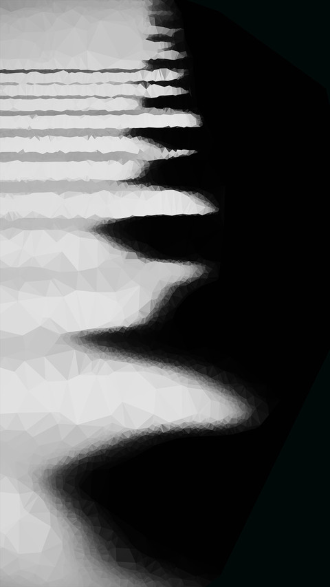 Black and White Photography Art screenshot