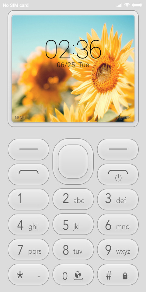 FeaturePhoneW NY screenshot
