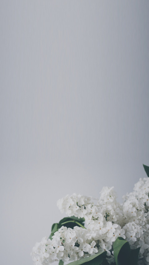bouquet (8) screenshot