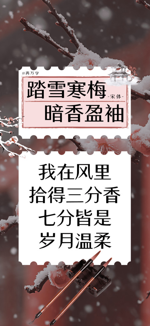 踏雪寒梅暗香盈袖 screenshot