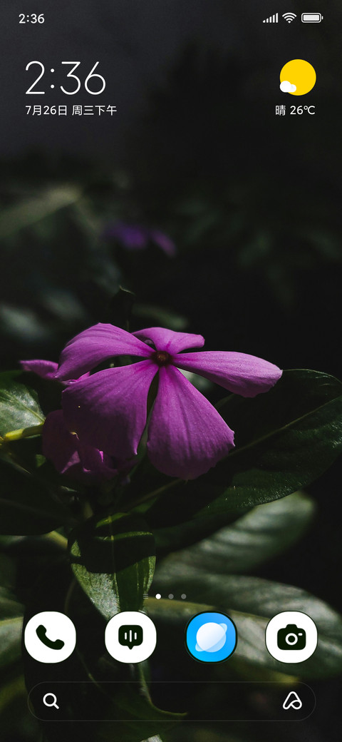 Amethyst Bloom screenshot
