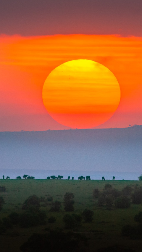 Masai Mara sunset screenshot