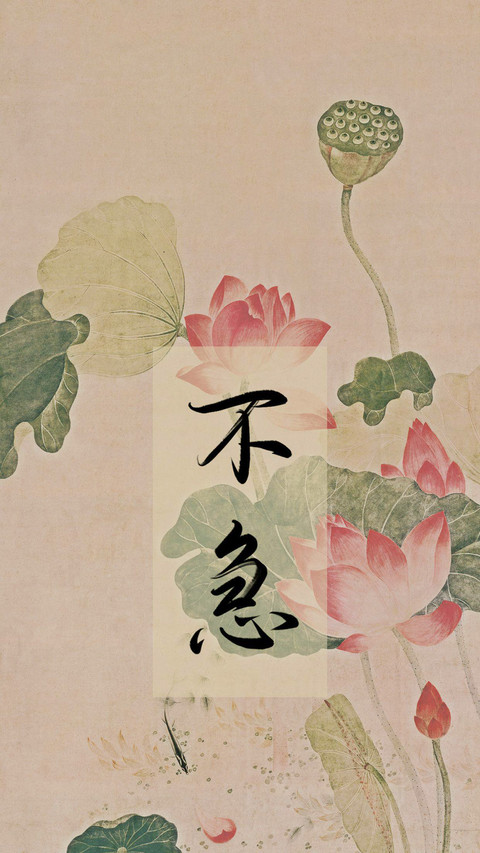 一念心清净 处处莲花开 screenshot