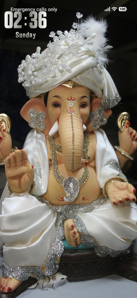 Ganesh Festival screenshot