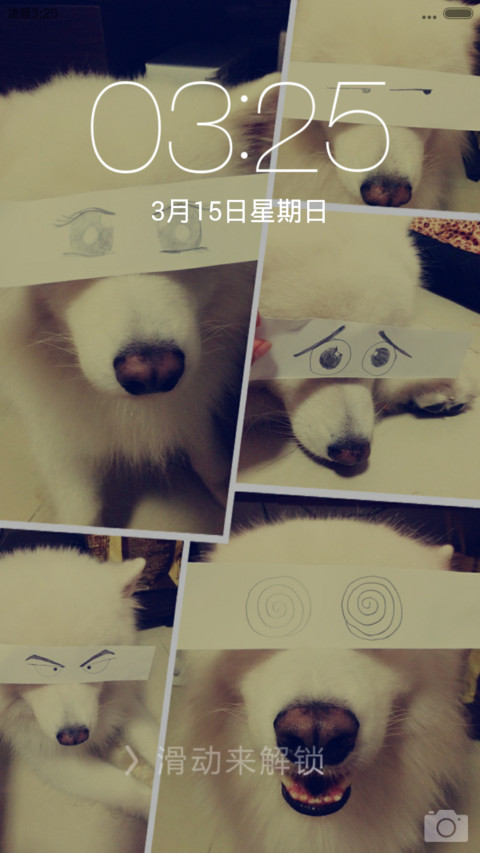 我家有狗叫Gino（v6自由桌面） screenshot