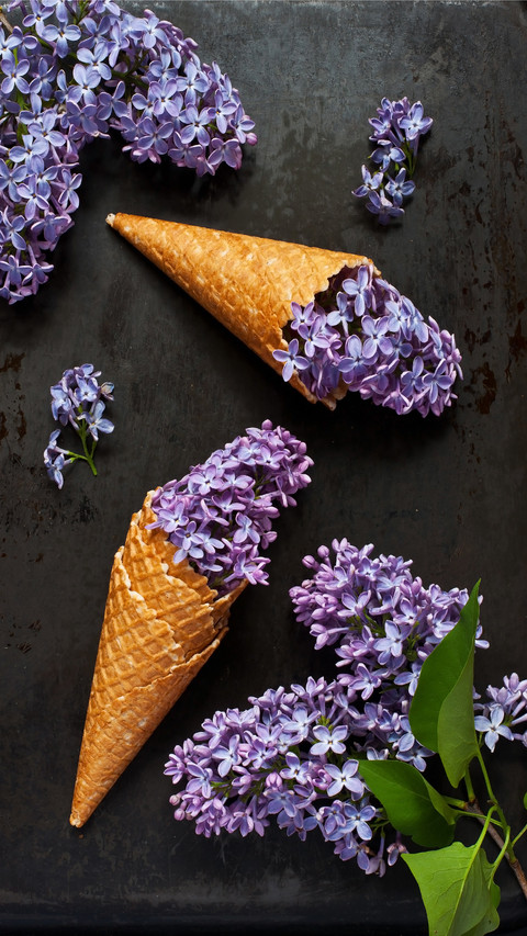 Collection and Appreciation of Ancient Poems of Lilac Flower screenshot