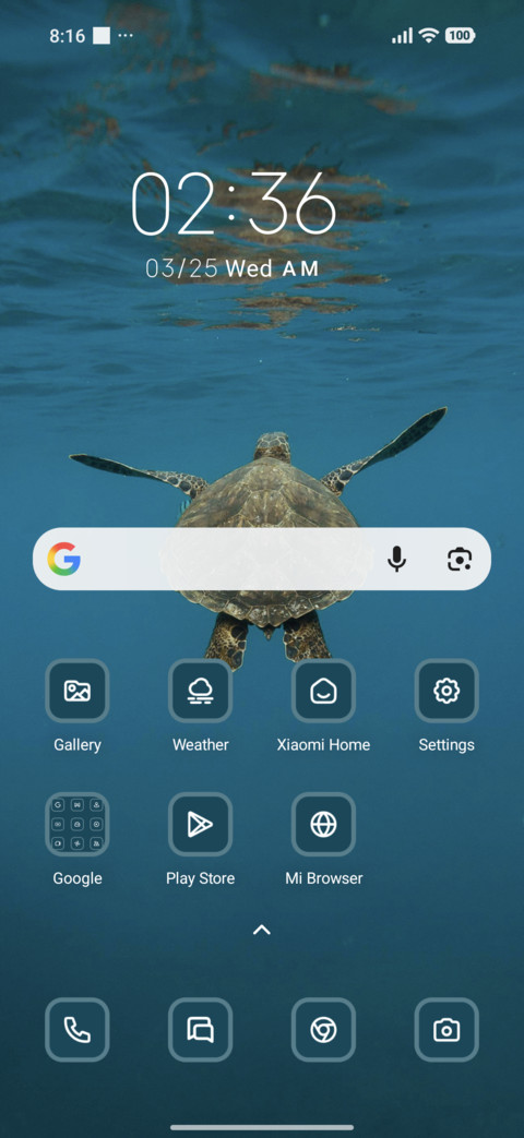 Turtle screenshot