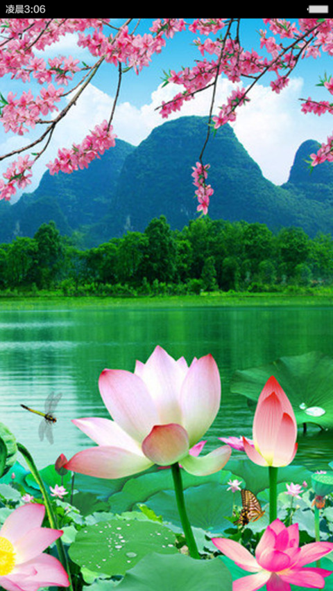 唯美荷花 screenshot