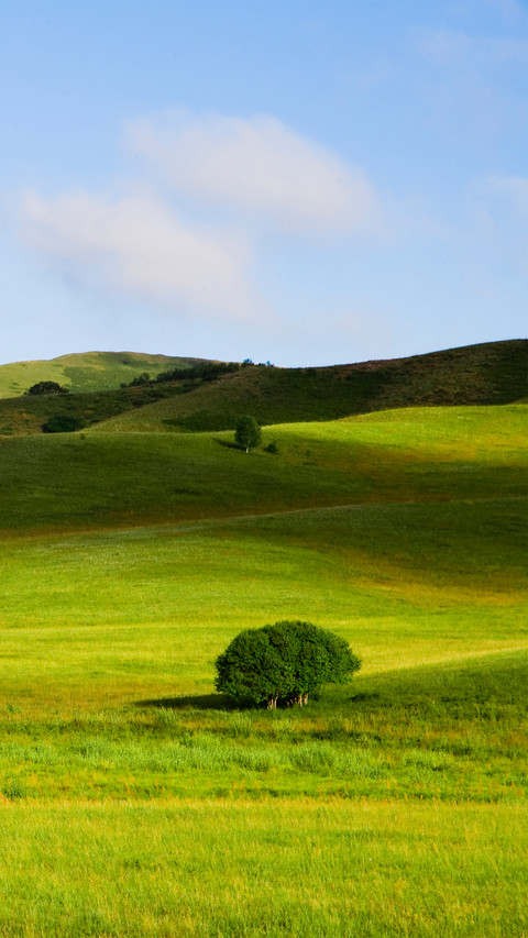 Mongolian grasslands screenshot