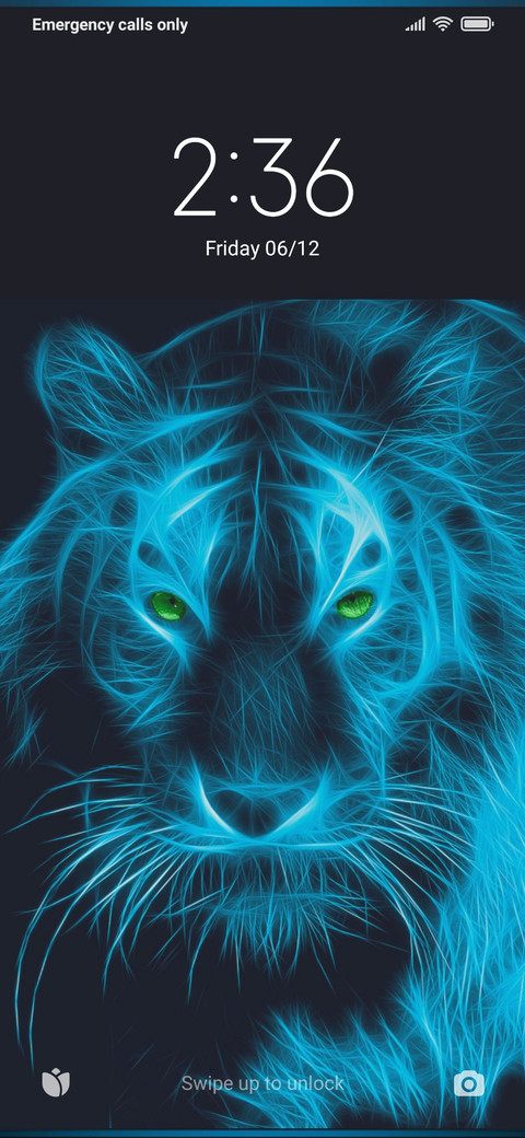 Blue Tiger screenshot
