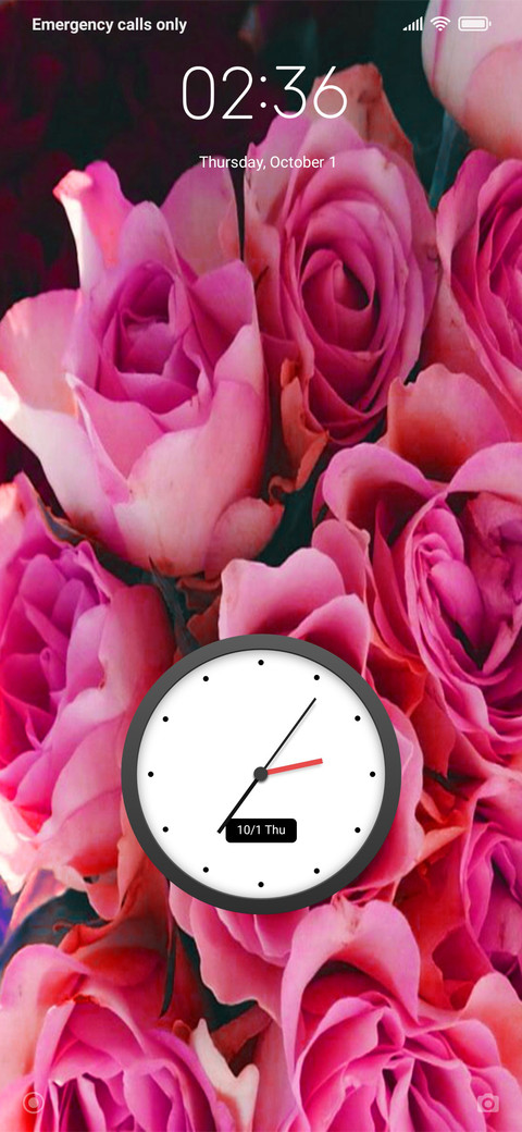 Floxx_DWM20 screenshot