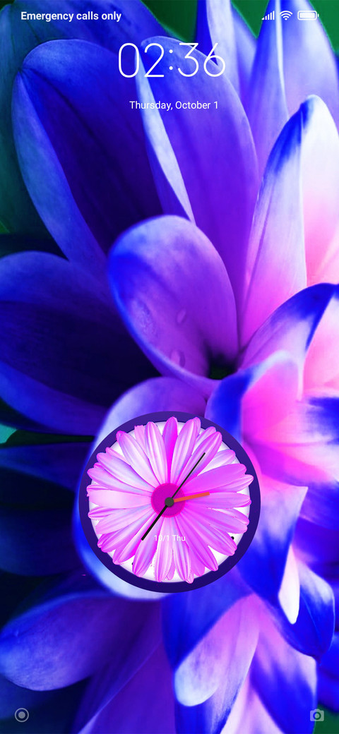 Floraa_DWM20 screenshot