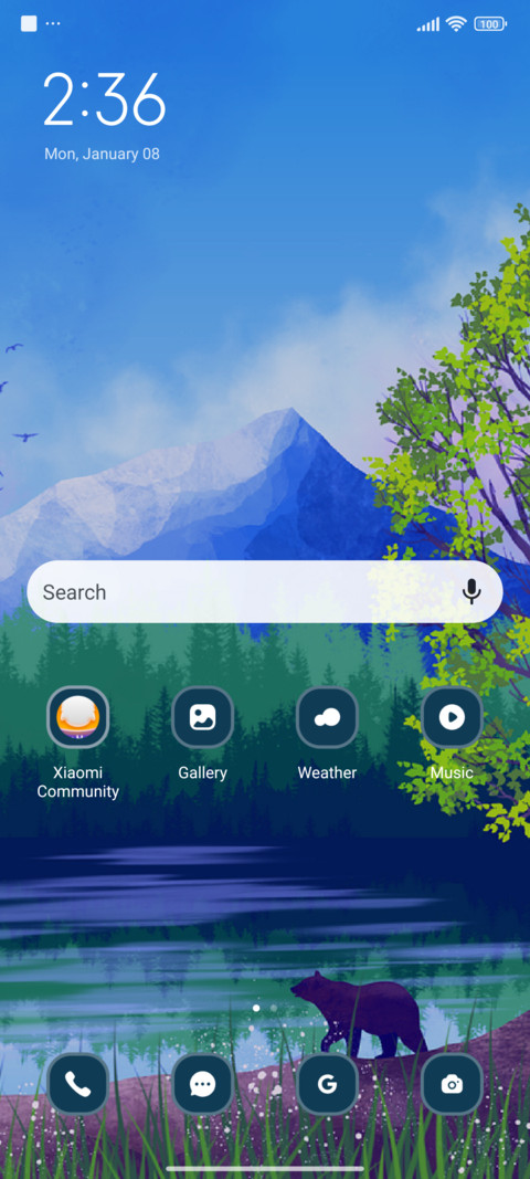 Bear screenshot