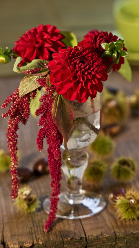 Beautiful Flowers Dragged by Names 6 screenshot