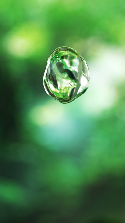 Water droplets fall into a secret realm in the forest screenshot