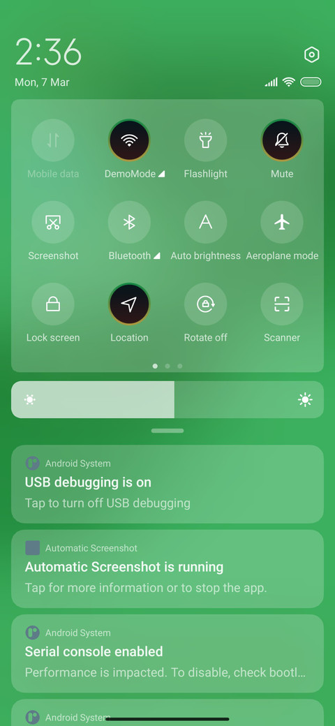 Indian Design screenshot