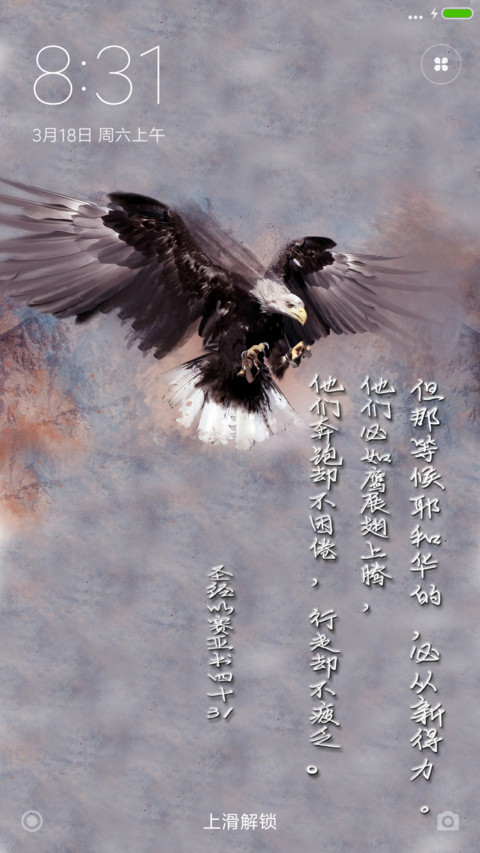 展翅上腾 screenshot