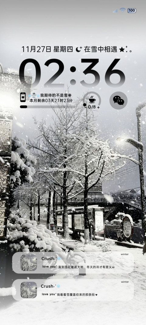 ins 初雪的浪漫 screenshot