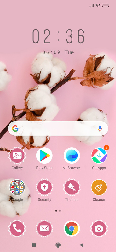 Cotton Plant_3MDS screenshot