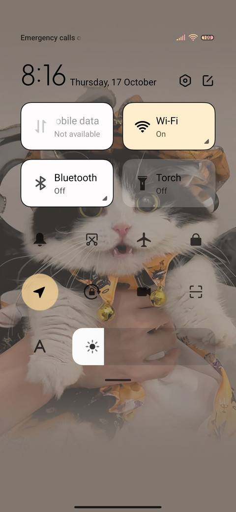 Cute Halloween cat screenshot