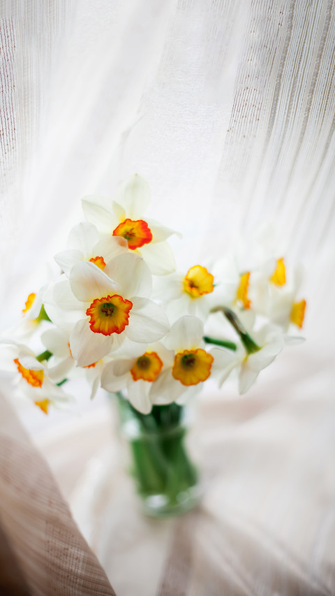 Beautiful bouquet of daffodils in glass vase screenshot