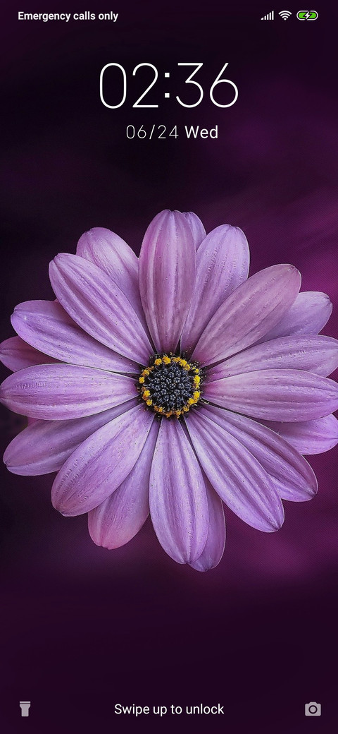 Pretty flower_3MDS screenshot