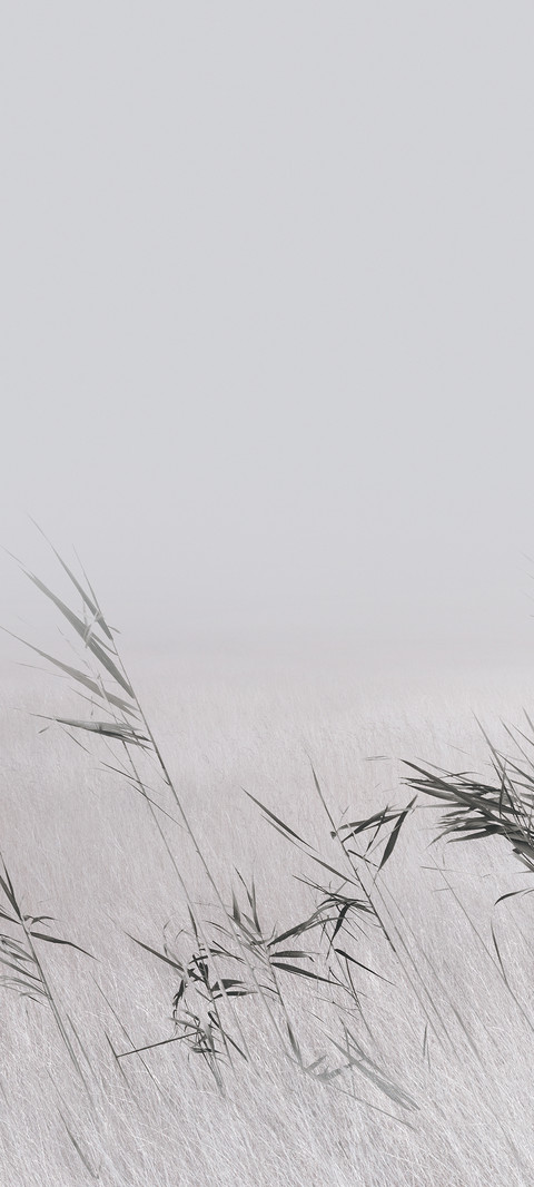 东方美学 screenshot