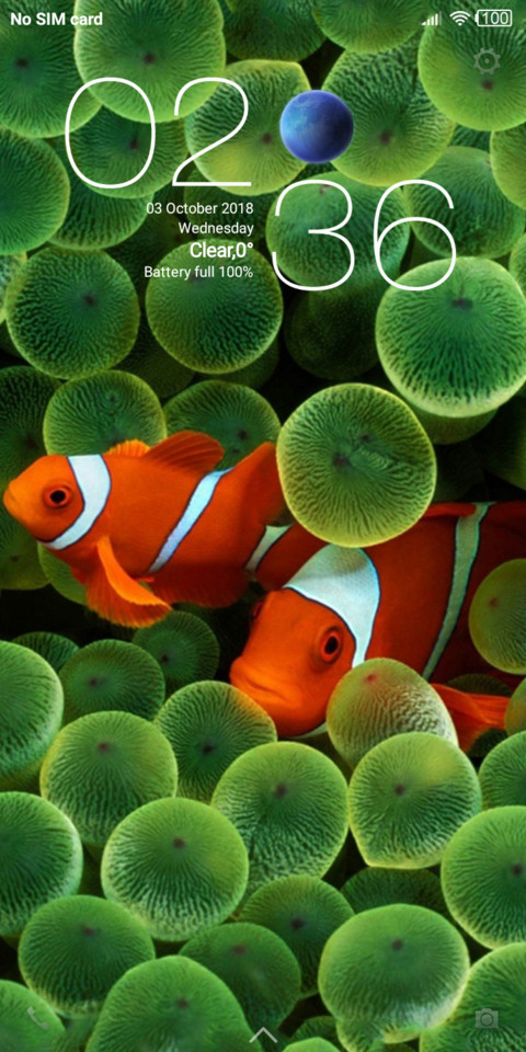Clown Fish screenshot