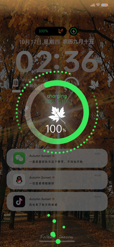 丁达尔光 秋日枫叶 screenshot