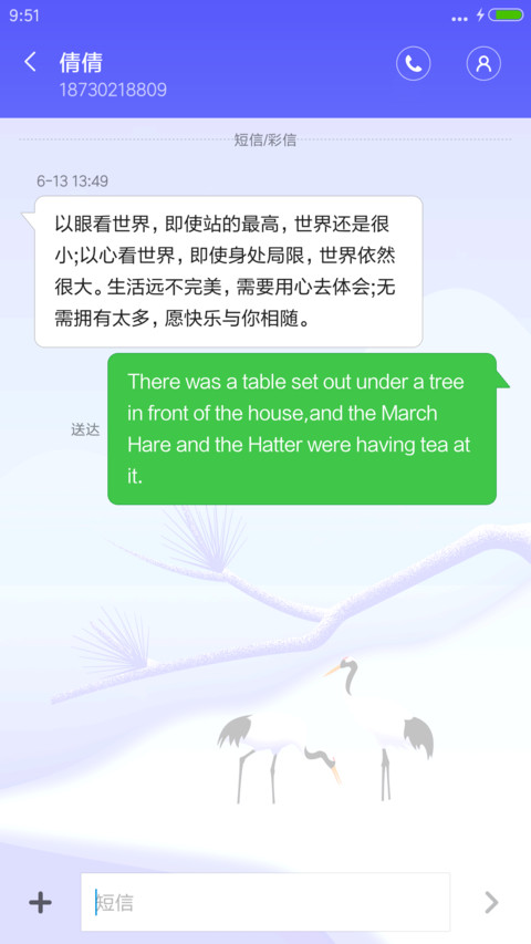 下雪特效 雪地双鹤 screenshot