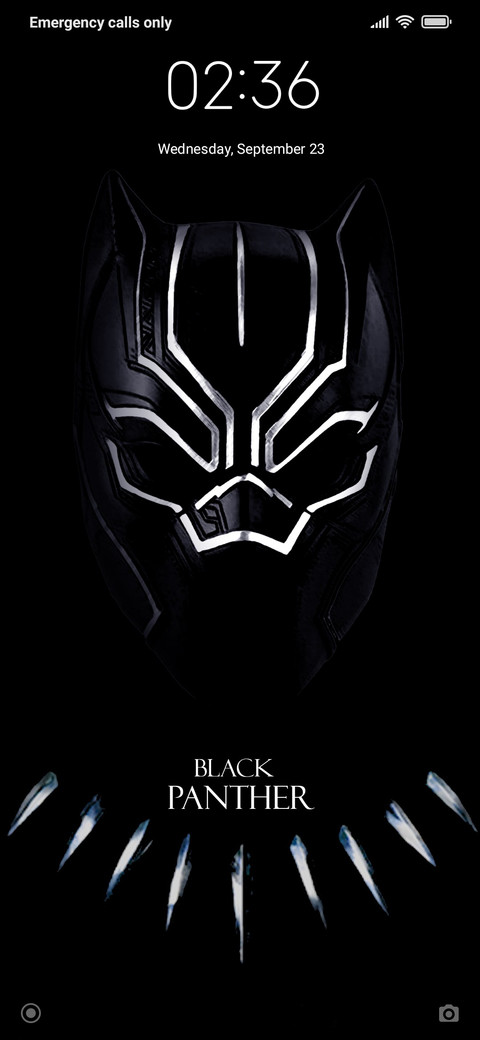 Panther_DWM20 screenshot