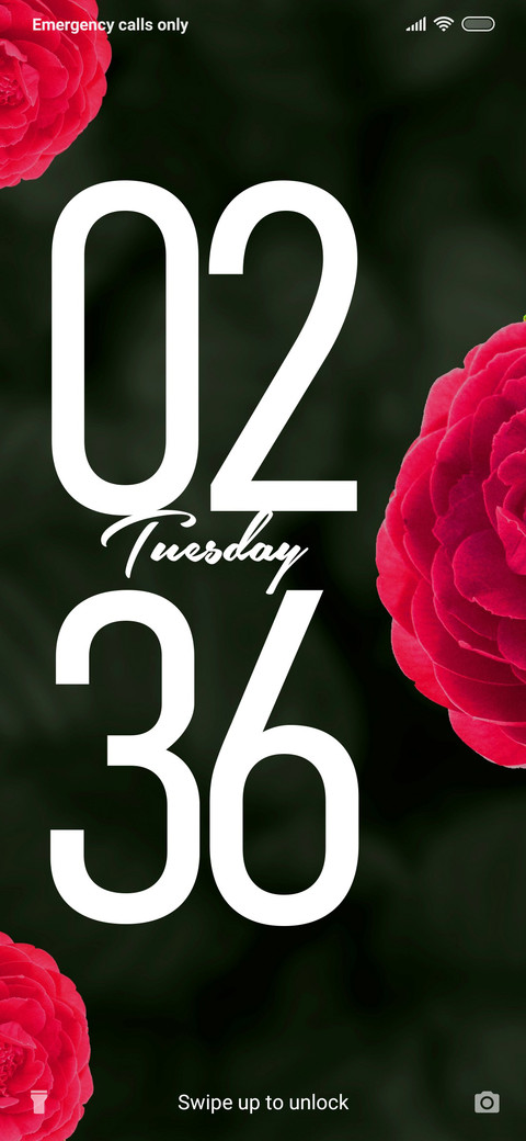 Red Rose_DWM20 screenshot